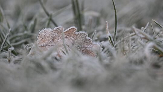 Morgenfrost in Baden-Württemberg