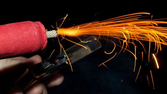 Silvester-Böllerei lässt Tiere leiden