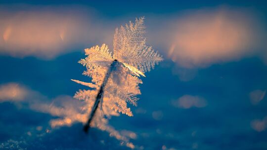 Eisiger Wintermorgen