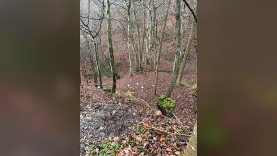 Lichtbild der Abfallablagerung in Kollig