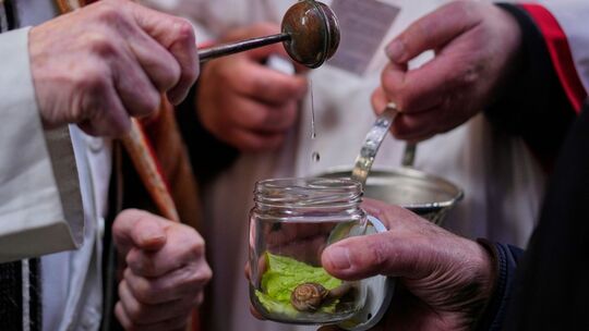 Tiersegnung in Madrid