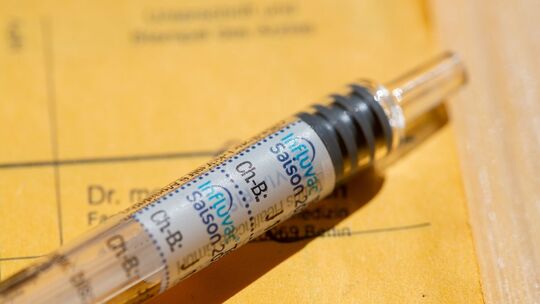 Grippeimpfung im Impfpass Grippeimpfung im Impfpass