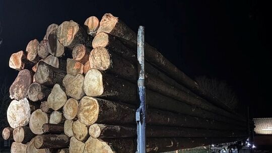 Beispielbild der Polizei, Holztransport mit über 62t Gewicht