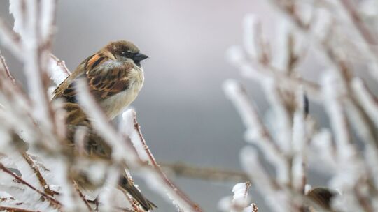 Wetter in Baden-Württemberg Wetter in Baden-Württemberg