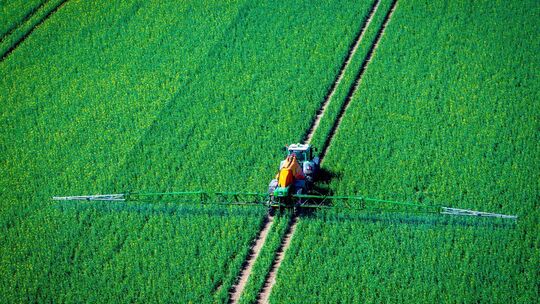 Pflanzenschutz auf Rapsfeld
