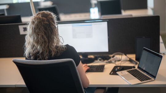 Eine Frau sitzt am Schreibtisch vor einem Bildschirm