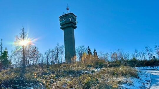 Vor allem am Köppel lässt sich der Klimawandel ablesen. In den Dürrejahren 2018 bis 2020 sind hier fast alle Fichten weggestorbe