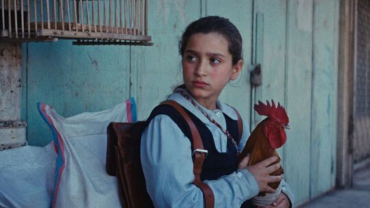 Kinostart - «Ein Kuchen für den Präsidenten»