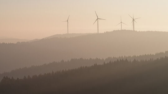 Die SGD Nord hat den Bau von acht Windrädern im Maischeider Land genehmigt. (Symbolfoto)