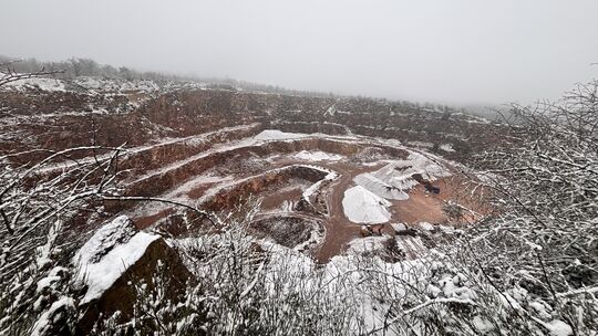 Die Basalt AG will den Steinbruch bei Traisen um sechs Hektar in den Kreuznacher Stadtwald erweitern. Das Thema beschäftigt derz