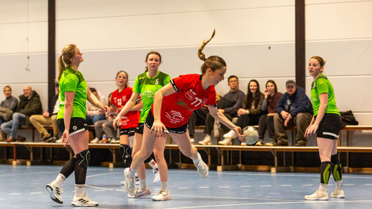 Annalena Adams hat sich am Kreis freigespielt und zum Torwurf angesetzt - bei den Wellinger Handballerinnen läuft es derzeit her