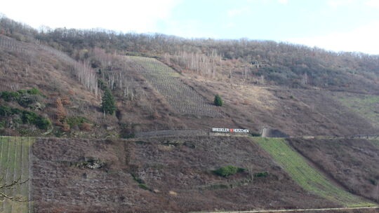 In der sehr guten Steillage "Briedeler Herzchen" gibt es inzwischen mehr Brachflächen als Weinberge.