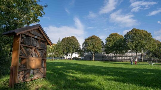Die Wiese am Weiher soll neu gestaltet werden - die Pläne sind umfangreich. Doch was will die Stadt nun wirklich umsetzen?