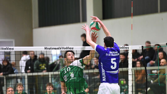 Nicht nur Peter Nogueira Schmid (grünes Trikot) wurde zuletzt in Rüsselsheim schmerzlich vermisst. Gegen Blankenloch sind die We