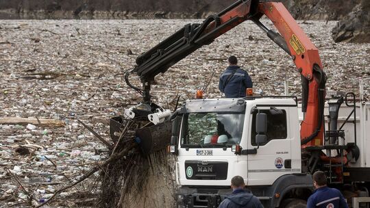 Bericht: Ohne Naturschutz riskieren Unternehmen ihre Zukunft