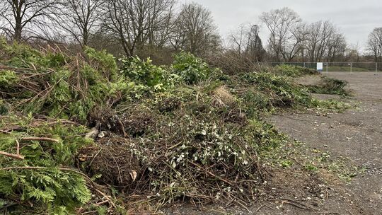 Seit Kurzem hat zwischen Weitersburg und Bendorf der neue Grünabfallsammelplatz „Rheinhelle” geöffnet.