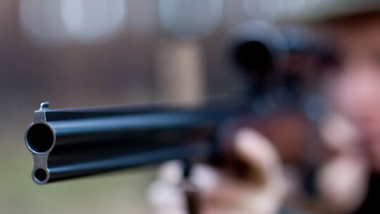 Treibt im Wald zwischen Pracht und Birkenbeul ein Wilderer sein Unwesen?