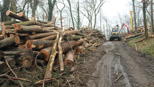 Im Verbandsgemeinderat Bad Ems-Nassau wurde über ein Forstarbeitszentrum gesprochen, das künftig in Hömberg auf der Fläche der f