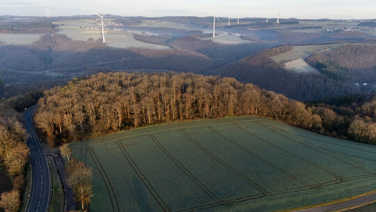 Bei Monreal (Kreis Mayen-Koblenz) wurde in einem Waldstück Ende November eine enthauptete Frauenleiche gefunden. Ein 41-jähriger