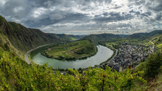 Die bekannte Lage Bremmer Calmont ist an der Mosel nicht nur für den Weinbau an sich relevant - sie lockt auch zahlreiche Touris
