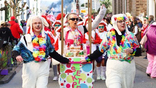 Rosenmontagszug Oberwesel