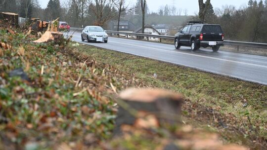 Die Baumfällarbeiten entlang der B327 zwischen Schloss Reifenthal und Sauerbrunnen sind abgeschlossen. Der LBM hat die einseitig