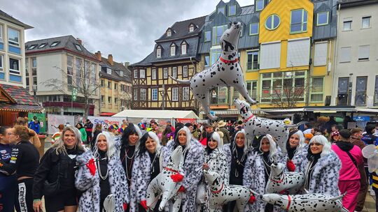 Beinahe waren es 1001 Dalmatiner - aber nur beinahe: Die Damen vom Planiger Karnevalsverein Lustige Schuppesser legten sich mit