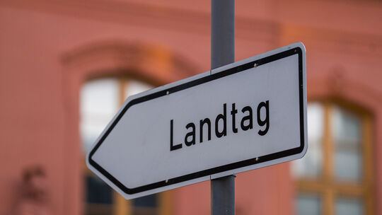 Da lang bitte: Sieben Spitzenkandidaten wollen in den Landtag von Rheinland-Pfalz.