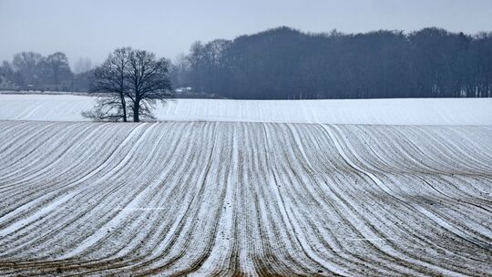 Winterwetter in Norddeutschland Winterwetter in Norddeutschland