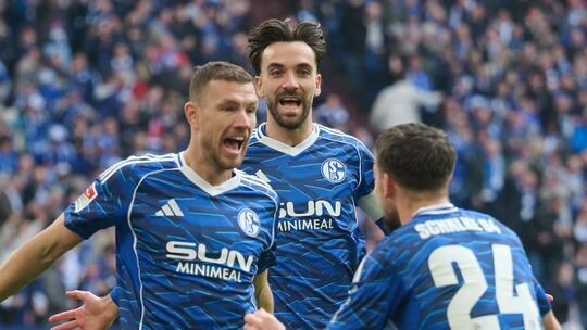 FC Schalke 04 - Dynamo Dresden