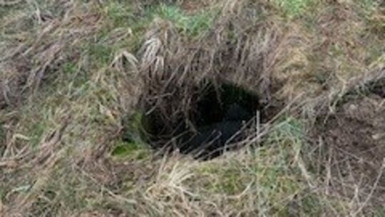 Fatales Erdloch: Hier stürzte der Hund beim Spaziergang hinein.