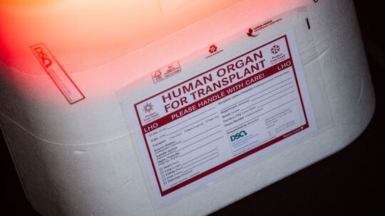 Illustration - Organspende