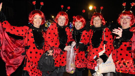 Neef. Neefer Nachtumzug mit tollen Wagen und fantasievollen Kostümen. Auch diese Marienkäfer schwirren durch Neef.