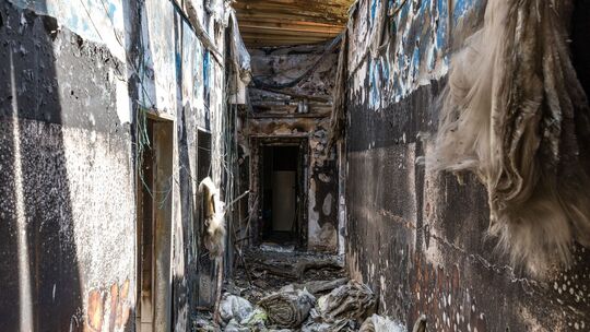 Mutmaßliche rechte Terrorzelle: Junge Männer festgenommen Mutmaßliche rechte Terrorzelle: Junge Männer festgenommen