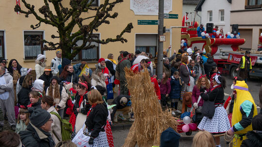 Kripp: Der Strohbär, der durch die Straßen getrieben wird, steht schon lange in Kripp als Symbol für die Verscheuchung des Winte