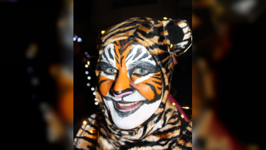 Hübsch und gar nicht bissig: diese Tigerin beim Nachtumzug in Alf.