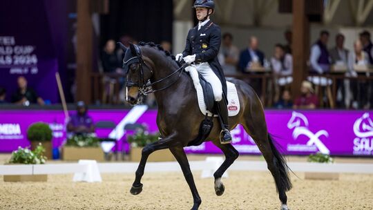 Raphael Netz Raphael Netz