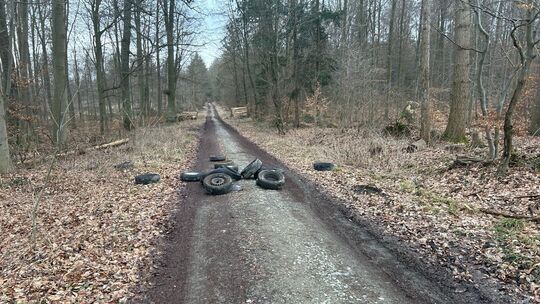 quer über den Waldweg illegal entsorgte Altreifen quer über den Waldweg illegal entsorgte Altreifen