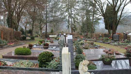 Die Friedhöfe in Nassau und in Scheuern könnten künftig umgestaltet werden. Dazu hatte die SPD im Stadtrat eine Antrag vorgelegt