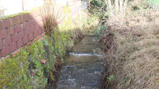 In der Höhe des Spielplatzes beginnen die Ufermauern am Kaltbach in Nassau. Um die Zuständigkeit dafür ging es jetzt im Stadtrat