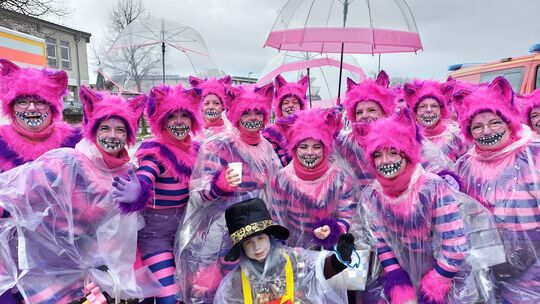 Ein Rudel Grinsekatzen, bekannt aus der Disney-Verfilmung von "Alice im Wunderland", streift durch Asbachs Gassen.