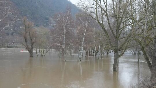 An der Mosel (hier: Dieblich) wurde der Höchststand fürs erste überschritten, ein Wiederanstieg scheint aber möglich.