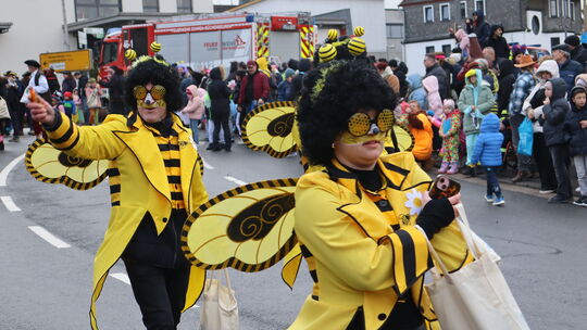 Bienchen versuchten einen Hauch von Sommer in das regnerische und trübe Sohren zu bringen.