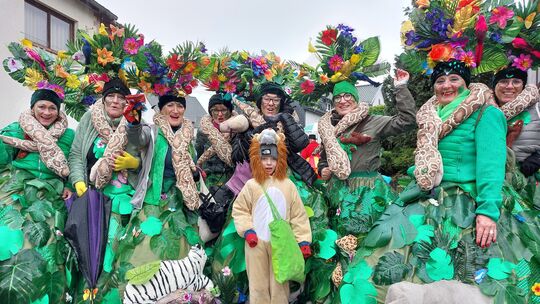 Großmaischeid: In diesem Urwald ist der Löwe noch König.