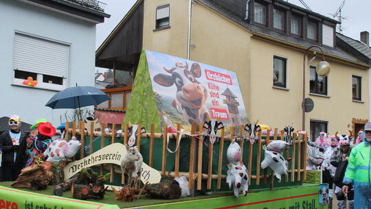 Hochbetrieb herrschte beim Orzbächer Almabtrieb, der mitten durch die Gemeinde lief. Hochbetrieb herrschte beim Orzbächer Almabtrieb, der mitten durch die Gemeinde lief.