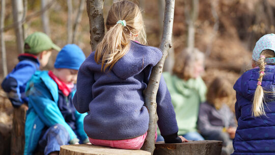 Waldkindergärten werden auch im Kreis Ahrweiler beliebter.