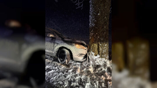 Unfall auf der L169: Ein Fahrzeug prallte gegen einen Baum, der Fahrer wurde glücklicherweise nur leicht verletzt.