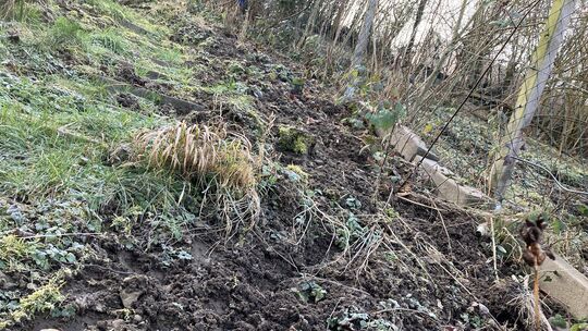 Wo einst ein Staudenbeet war, bliebt nach einem Wildschweinbesuch nur noch ein Acker.