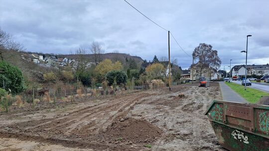 Wo jetzt Matsch ist, gab es früher eine Wiese. Büsche standen am Rand und auch ein Baum stand auf dem Gelände.