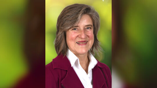 Bettina Fellmer (Bündnis 90/Die Grünen)